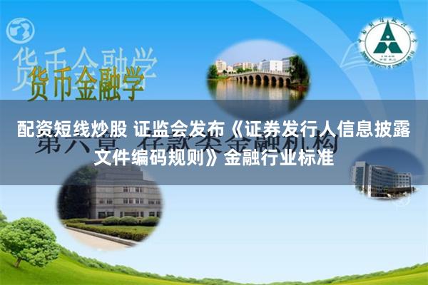 配资短线炒股 证监会发布《证券发行人信息披露文件编码规则》金融行业标准