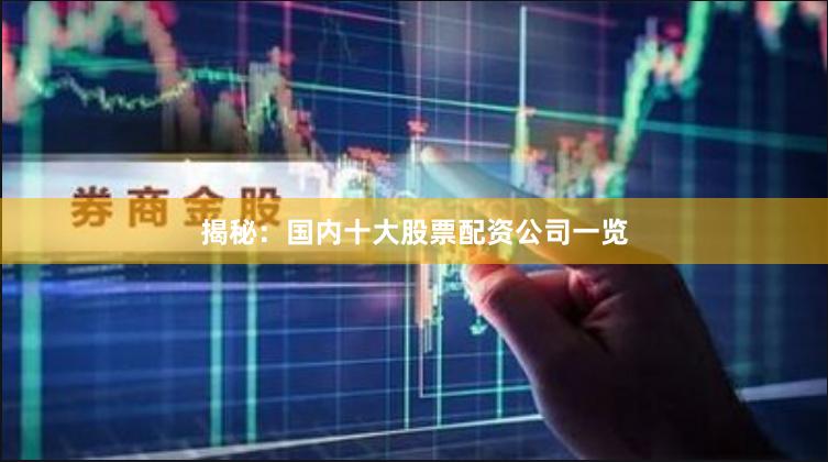 揭秘：国内十大股票配资公司一览