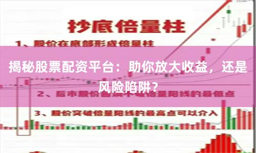 揭秘股票配资平台：助你放大收益，还是风险陷阱？