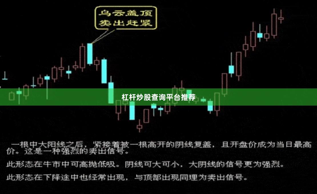 杠杆炒股查询平台推荐