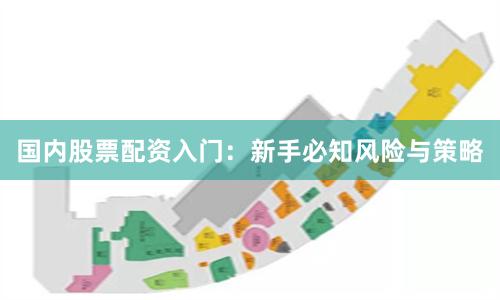 国内股票配资入门：新手必知风险与策略