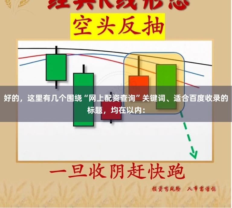 好的，这里有几个围绕“网上配资查询”关键词、适合百度收录的标题，均在以内：