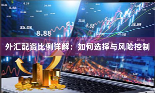外汇配资比例详解：如何选择与风险控制